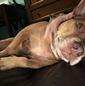 Meet your Posher, Nathaniel